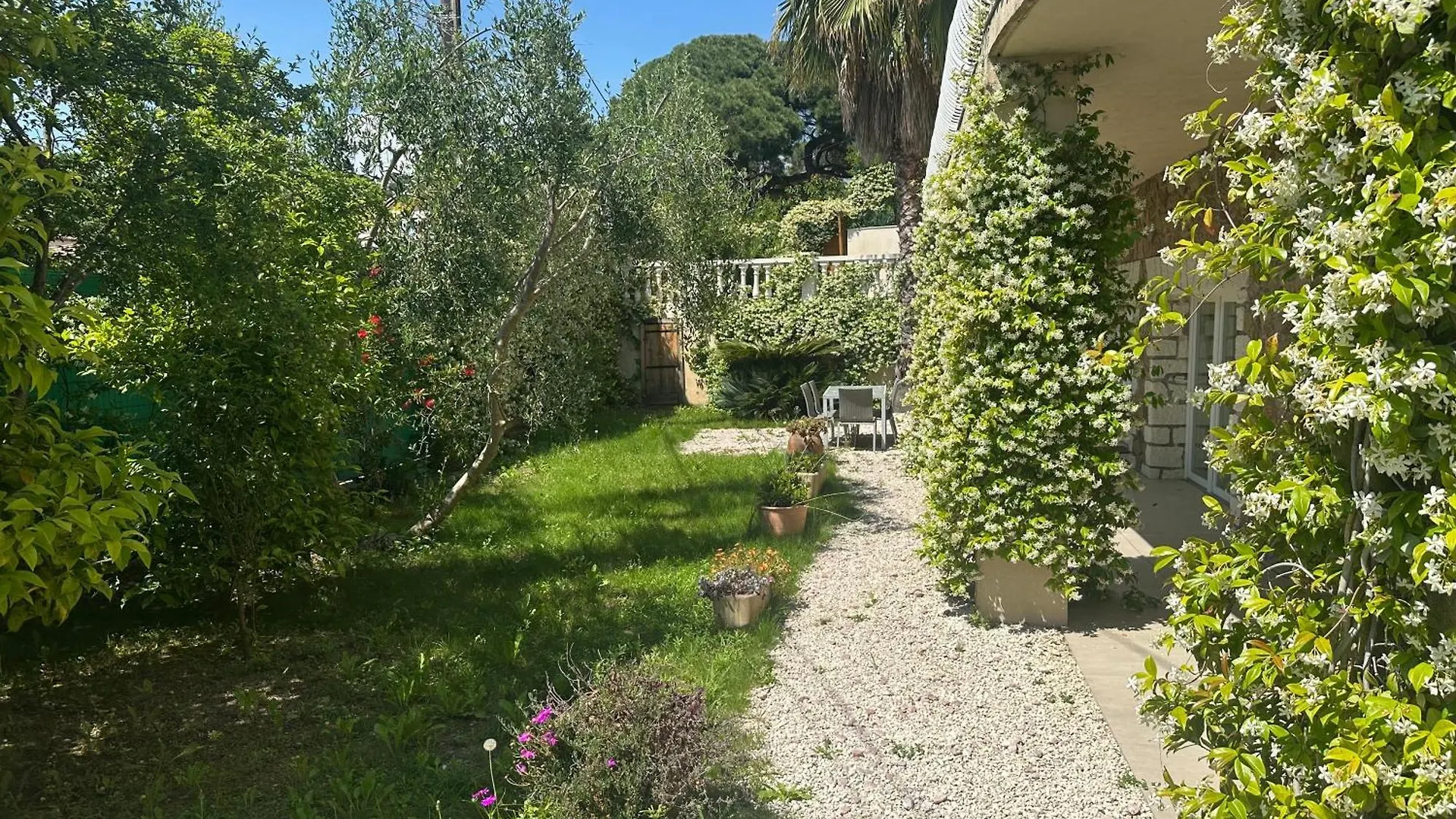 Villa Paradis - Cannes